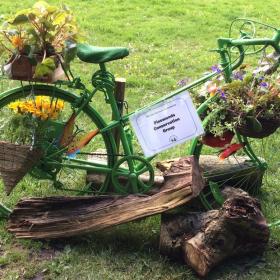 The Pinewoods "Tour De France" Decorated Bike
